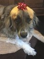 Kids_X-Mas_2016 (23)